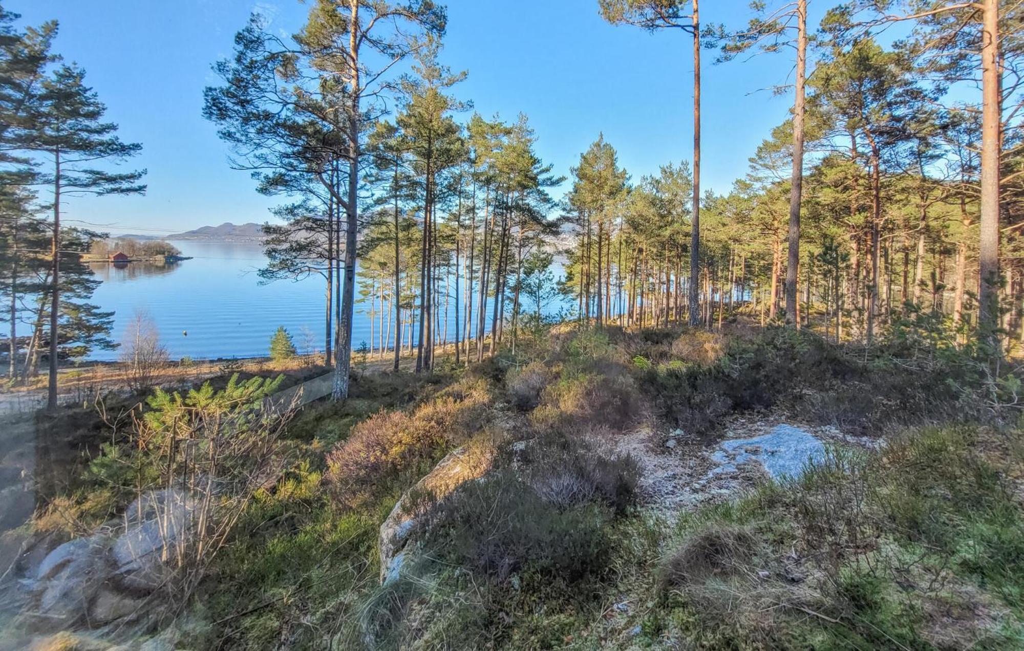 Gorgeous Home In Jorpeland With House Sea View Exteriör bild